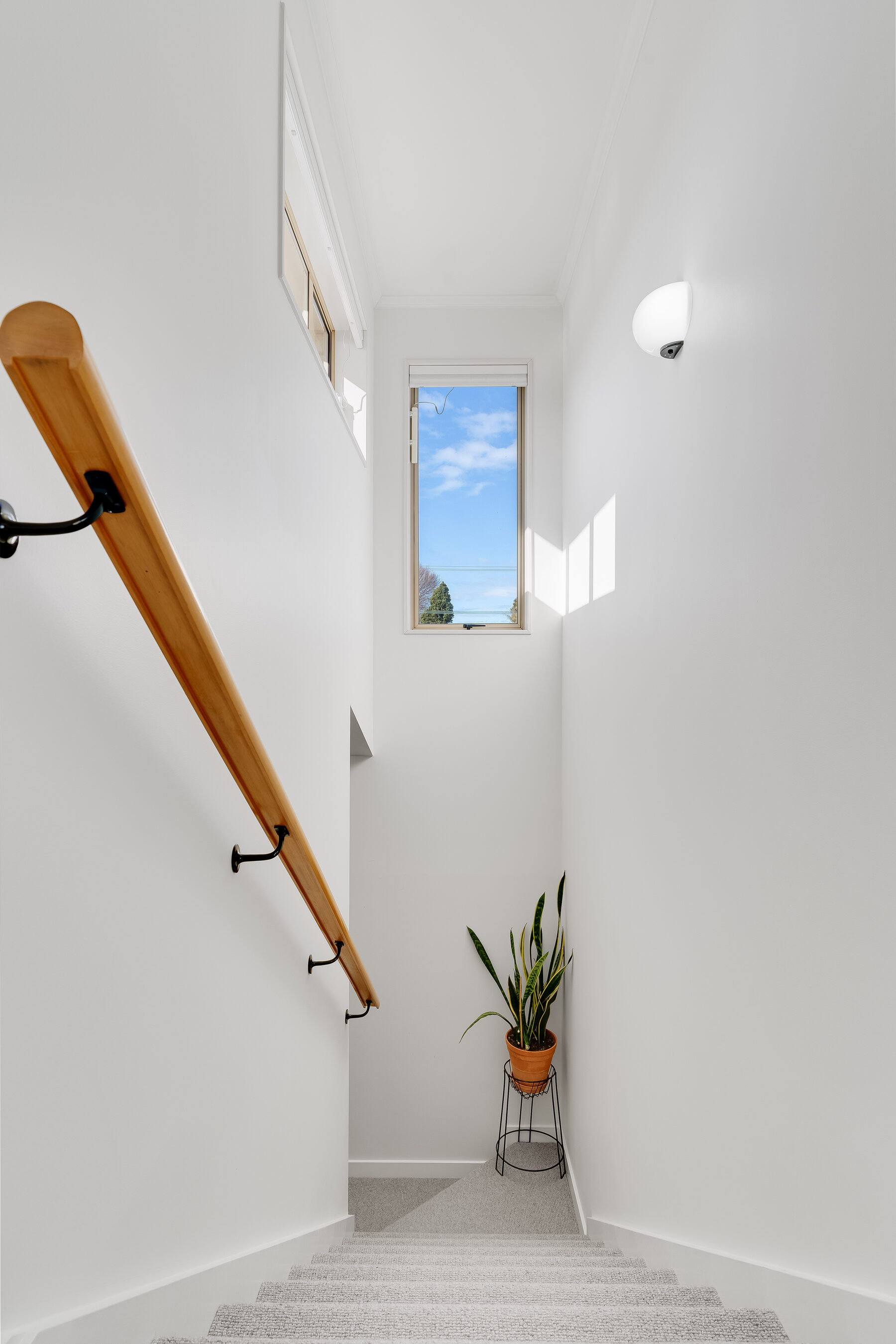 Bright stairwell with vertical window and potted plant